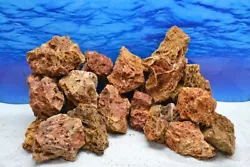 Feuillage pétrifié - Mesure environ 12-18 cm par pierre, peut varier- Poids environ 800-1500 grammes par pièce, peut...