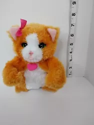 FurReal Friends Lil Big Paws Peek a Boo Cat 7