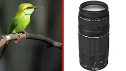 Canon T3i T4i T5i T6i T7i T8i. Canon SL1 SL2 SL3. Canon T5 T6 T7 1200D 1300D 400D. The Canon EF 75-300mm uses a DC...