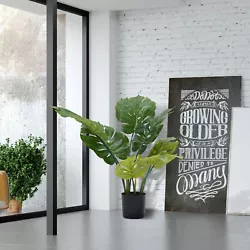 ❀ Easy To Care: Artificial plastic faux house Plants are easy to maintain, it would never wither or fall, also...