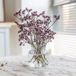 This flower vase is suitable to decorate your living room, bedroom, office and so on. Featuring transparent color and...