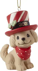 Wearing a candy cane striped top hat with2021 on the band and a red polka-dot bandana, this sweet puppy is all smiles...