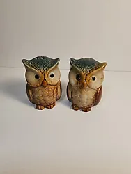 Owl salt & Pepper Shakers Blue, Brown. They are a great addition to your S&P collection. Would be really cute on your...