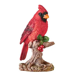 This beautiful bird will look terrific in your garden, on your patio, or inside your home. This colorful Cardinal...