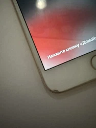 IPhone 8 Plus (with cracked back and scratched front screen). If you can look past the imperfections, this iPhone 8...