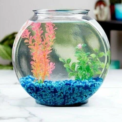 Aqua Culture 2-Gallon Glass Drum Fish Bowl. This versatile item makes an attractive accent piece for a desk, bookcase...
