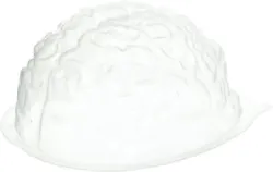 Fun World brain jello mold halloween party decoration. Make your own gelatin brains. This jello mold will freak kids...