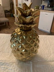 I have took pictures to show the condition of the Pineapple.