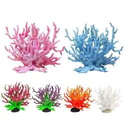 You will enjoy watching your aquatic friends swim among the vibrant and realistic coral. Enjoy the beauty of the sea...